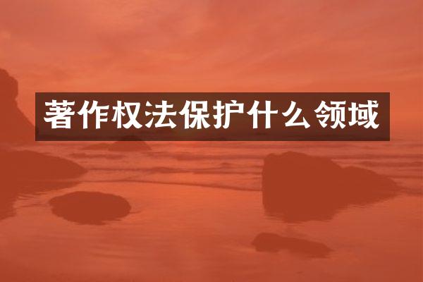 著作权法保护什么领域