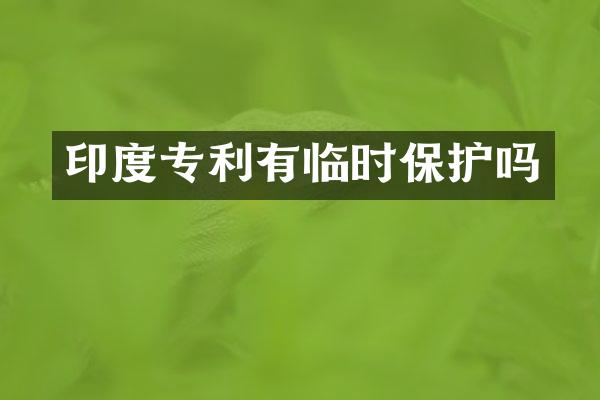 印度专利有临时保护吗