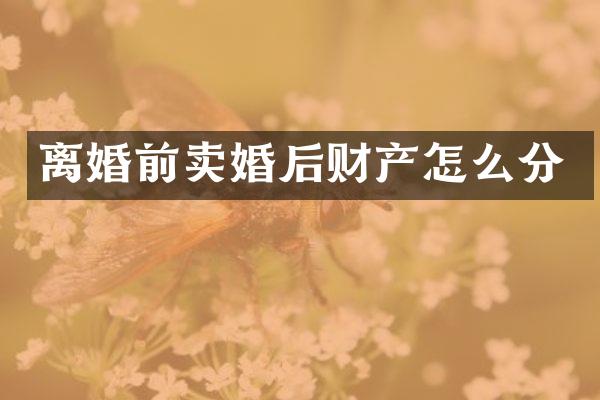 离婚前卖婚后财产怎么分