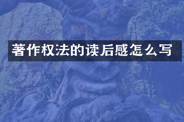 著作权法的读后感怎么写