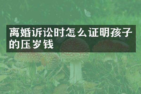离婚诉讼时怎么证明孩子的压岁钱