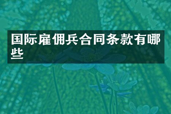国际雇佣兵合同条款有哪些