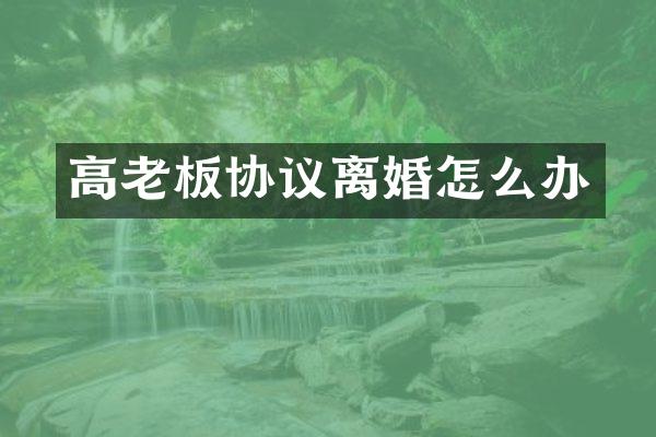 高老板协议离婚怎么办