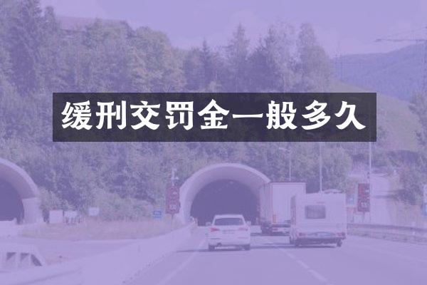 缓刑交罚金一般多久