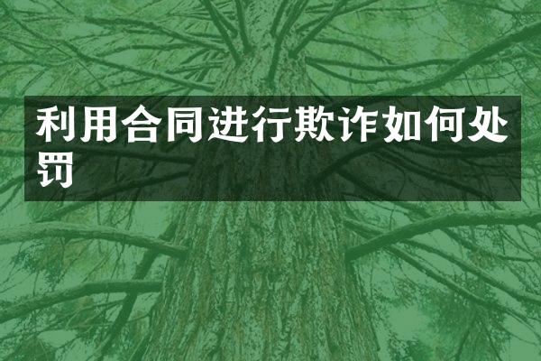 利用合同进行欺诈如何处罚