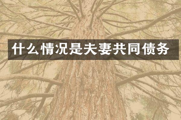 什么情况是夫妻共同债务