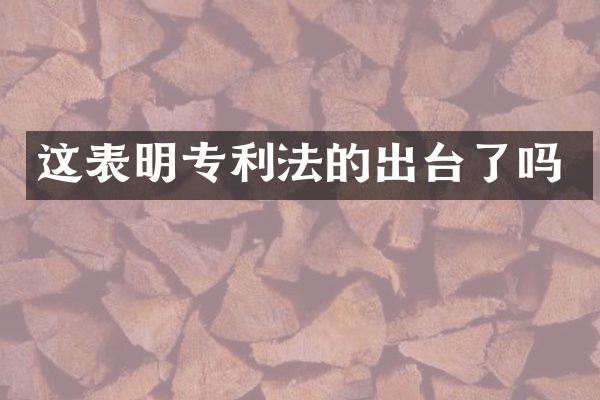 这表明专利法的出台了吗