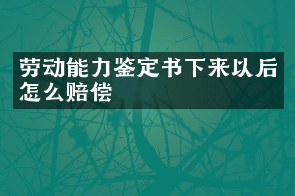 劳动能力鉴定书下来以后怎么赔偿