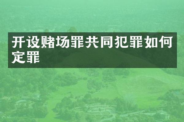 开设罪共同犯罪如何定罪