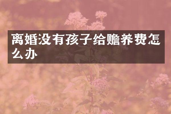 离婚没有孩子给赡养费怎么办