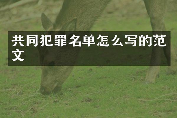 共同犯罪名单怎么写的范文
