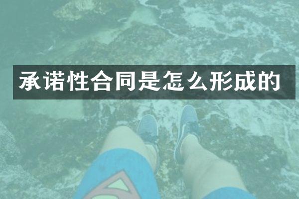 承诺性合同是怎么形成的