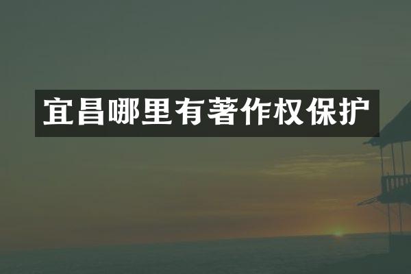 宜昌哪里有著作权保护