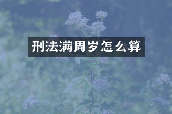 刑法满周岁怎么算