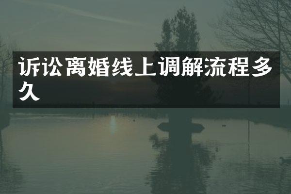 诉讼离婚线上调解流程多久