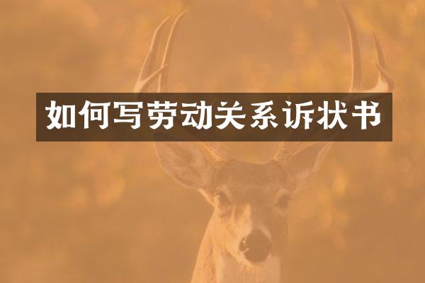 如何写劳动关系诉状书