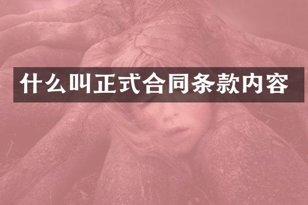 什么叫正式合同条款内容