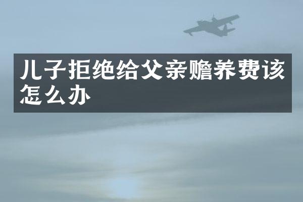 儿子拒绝给父亲赡养费该怎么办