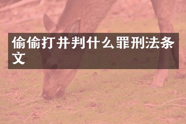 偷偷打井判什么罪刑法条文
