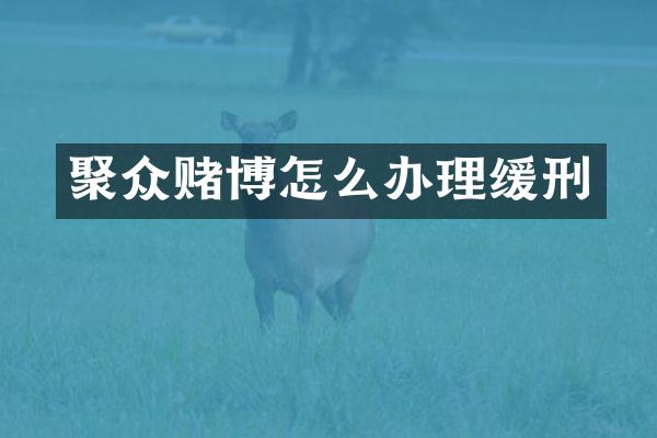 聚众怎么办理缓刑
