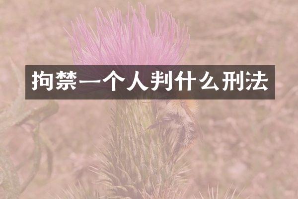 拘禁一个人判什么刑法