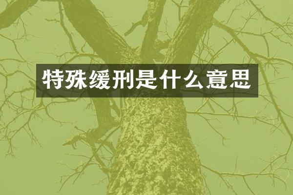 特殊缓刑是什么意思