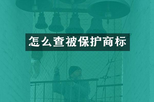 怎么查被保护商标