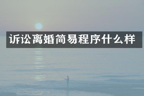 诉讼离婚简易程序什么样
