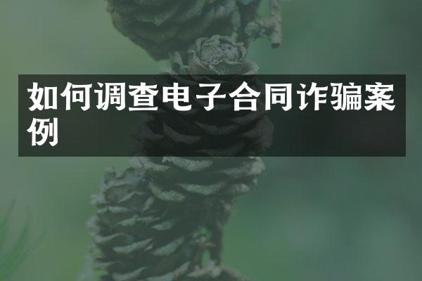 如何调查电子合同诈骗案例