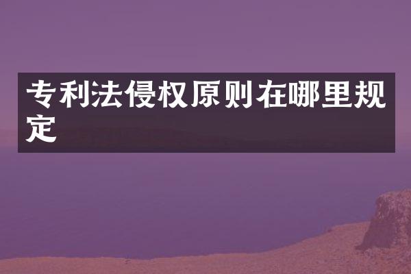 专利法侵权原则在哪里规定