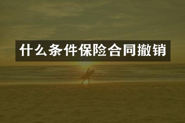 什么条件保险合同撤销