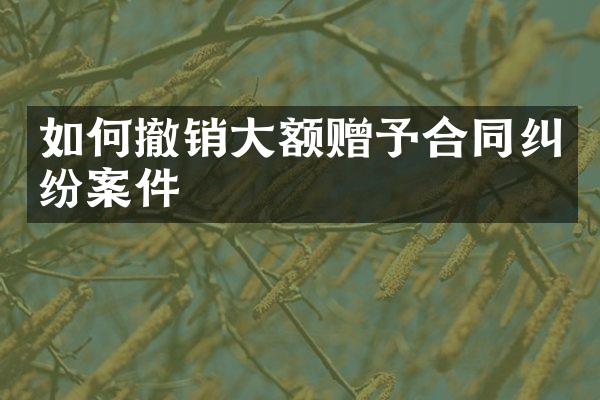 如何撤销大额赠予合同纠纷案件