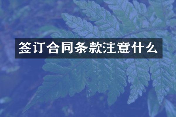 签订合同条款注意什么