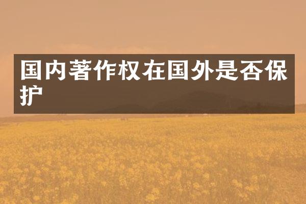 国内著作权在国外是否保护