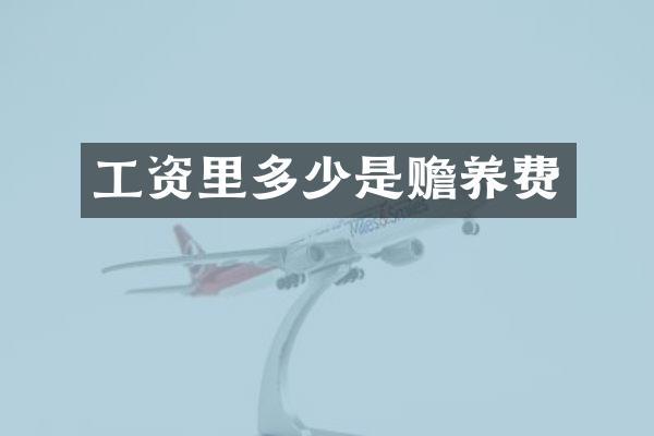 工资里多少是赡养费