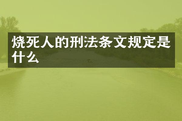 烧死人的刑法条文规定是什么