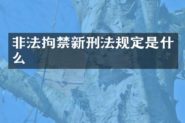 非法拘禁新刑法规定是什么