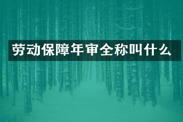 劳动保障年审全称叫什么