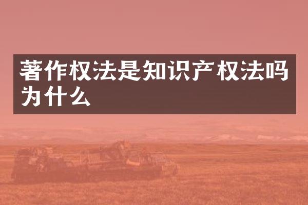 著作权法是知识产权法吗为什么