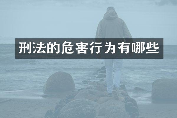 刑法的危害行为有哪些