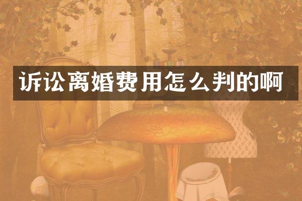 诉讼离婚费用怎么判的啊