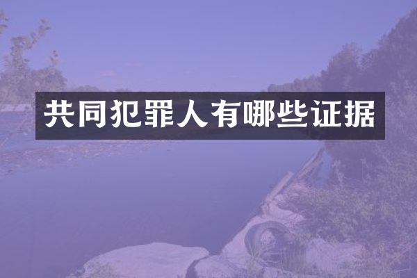 共同犯罪人有哪些证据