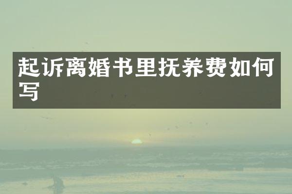 起诉离婚书里抚养费如何写