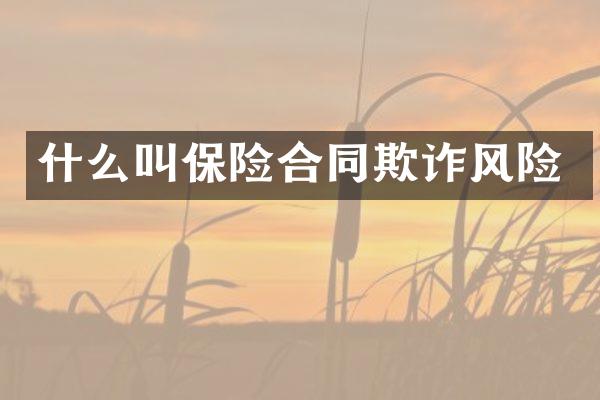什么叫保险合同欺诈风险