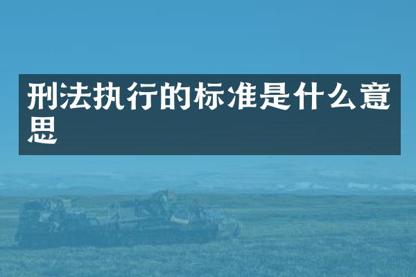 刑法执行的标准是什么意思