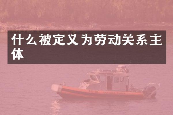 什么被定义为劳动关系主体