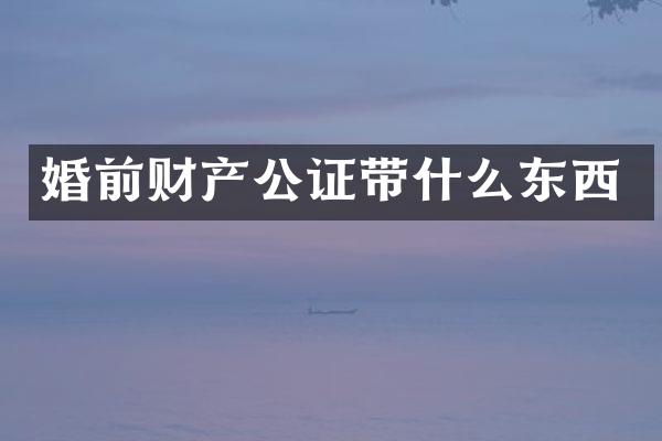婚前财产公证带什么东西