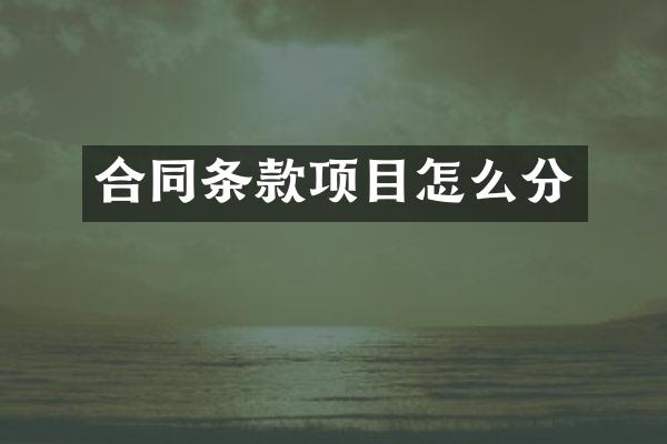 合同条款项目怎么分
