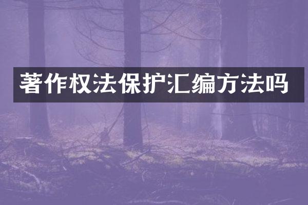 著作权法保护汇编方法吗