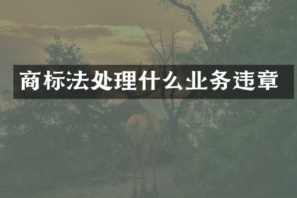 商标法处理什么业务违章